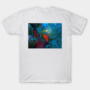 Red Snapper and Whip Coral T-Shirt